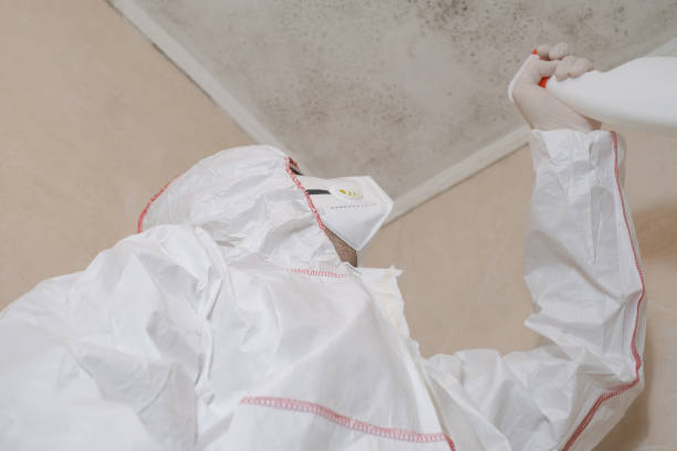Best Crawl Space Mold Removal  in Morgan Hill, CA